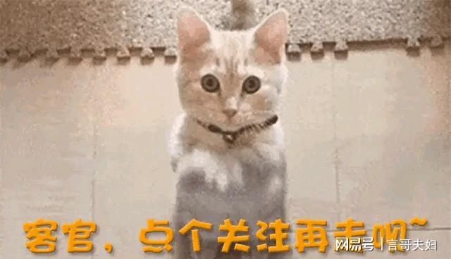 刚合作的王志文现状应了王劲松的话k8凯发国际一生不接广告不与冯小(图3)