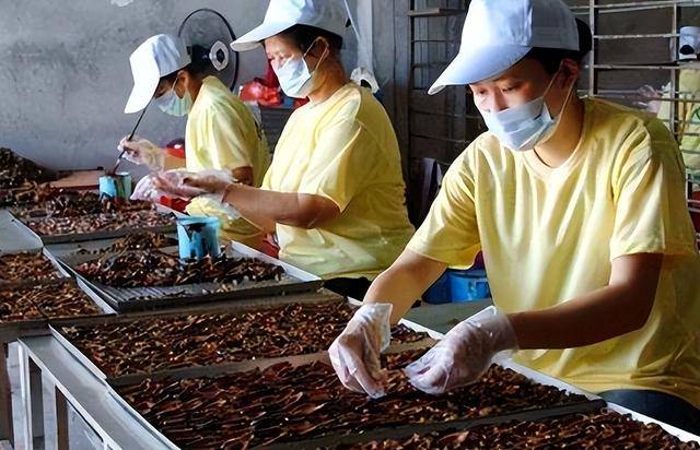 割脸、割舌、丧命！让1亿人上瘾的致癌小零食为什么不禁卖？(图6)